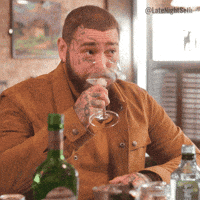 Drunk Beer GIF by Late Night with Seth Meyers Drunk Beer GIF by Late Night with Seth Meyers
