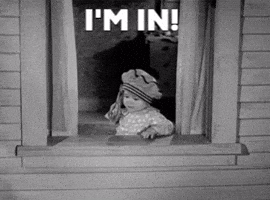 All In Crypto GIF All In Crypto GIF