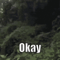 Okaay Ok GIF by MOODMAN Okaay Ok GIF by MOODMAN