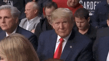 Donald Trump Thumbs Up GIF by UFC Donald Trump Thumbs Up GIF by UFC