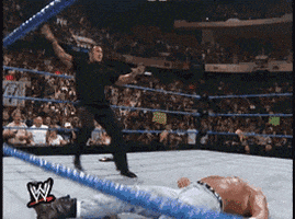 the rock wwe GIF the rock wwe GIF
