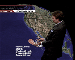 Animated GIF Animated GIF