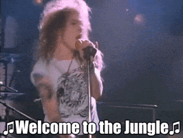 Guns N Roses GIF Guns N Roses GIF
