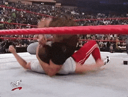triple h fighting GIF by WWE triple h fighting GIF by WWE