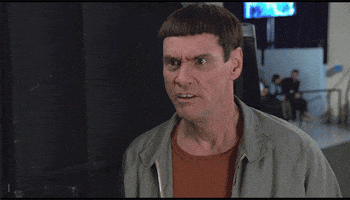 Animated GIF Animated GIF