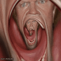loop horror GIF by Psyklon loop horror GIF by Psyklon