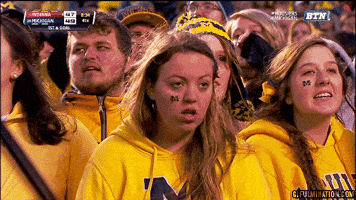 fan michigan GIF fan michigan GIF
