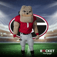 Flexing Football Season GIF by Rocket Mortgage Flexing Football Season GIF by Rocket Mortgage