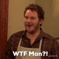 Season 2 Wtf GIF by Parks and Recreation Season 2 Wtf GIF by Parks and Recreation