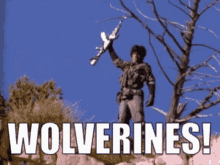red-dawn-wolverines.gif