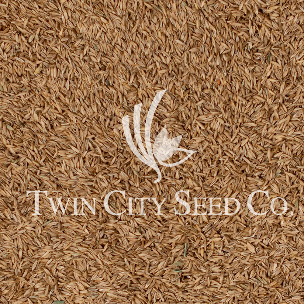 twincityseed.com
